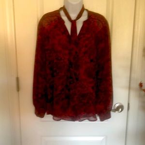 Ann Taylor LS sheer blouse. V neck button front with removable tie neck.